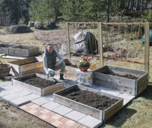 Kasvimaa istutuslaatikoissa